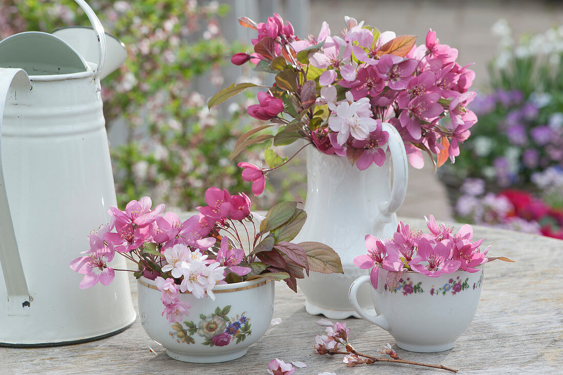 Small bouquets of flowering branches of ornamental apple and ornamental cherry in a sugar bowl, cup, and coffee pot