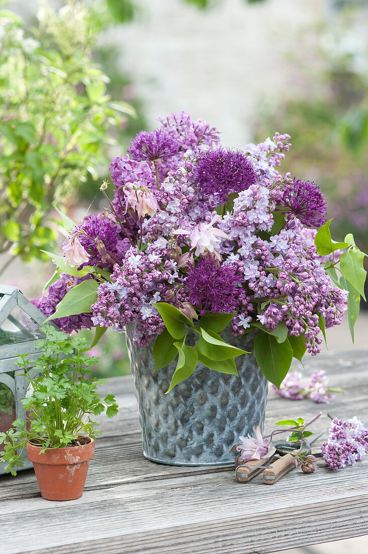 Purple bouquet of lilacs, Allium, and columbines, and a small clay pot with parsley
