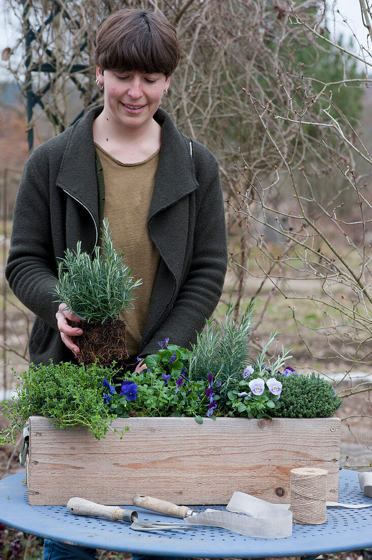 A woman planting a wooden crate with rosemary, thyme, oregano, horned violets, and fragrant violets
