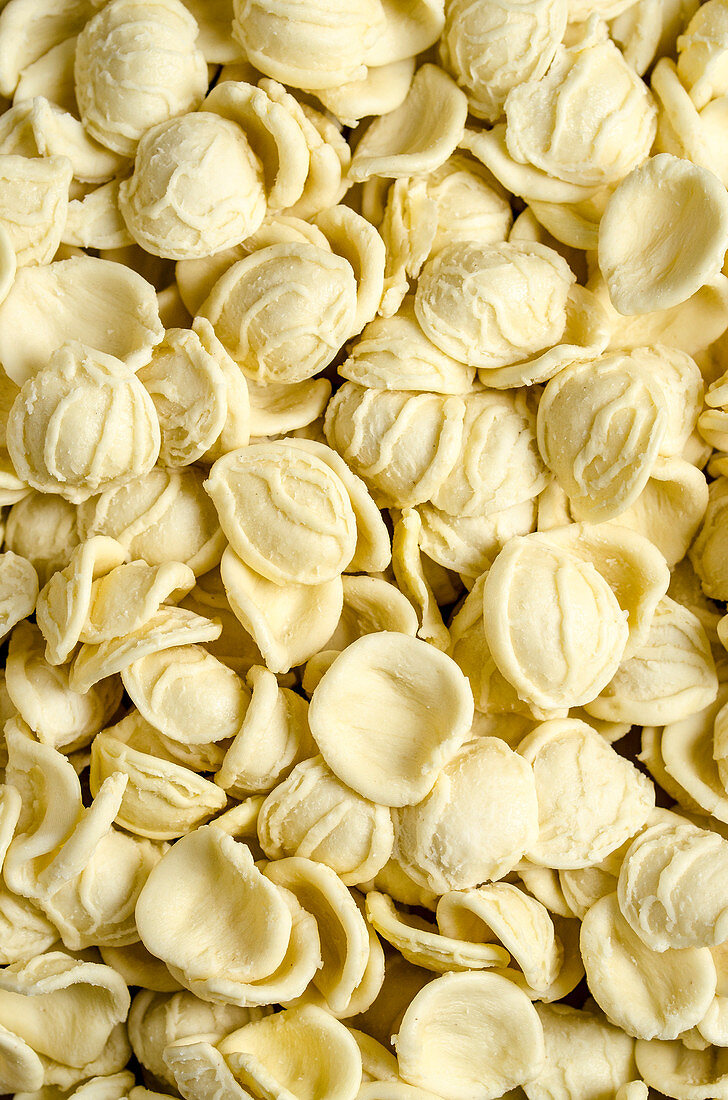 Orecchiette (frische italienische Pasta)
