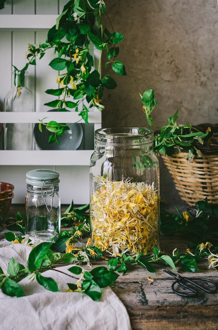 Ingredients for the making of honeysuckle syrup