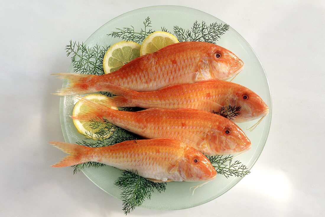 Four red mullet with dill & lemon on glass plate