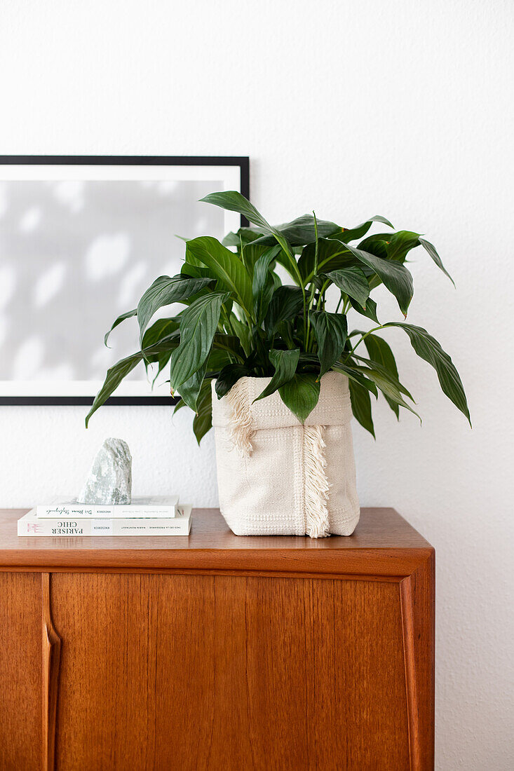 DIY-Übertopf aus schlichtem Teppich mit Pflanze auf Sideboard