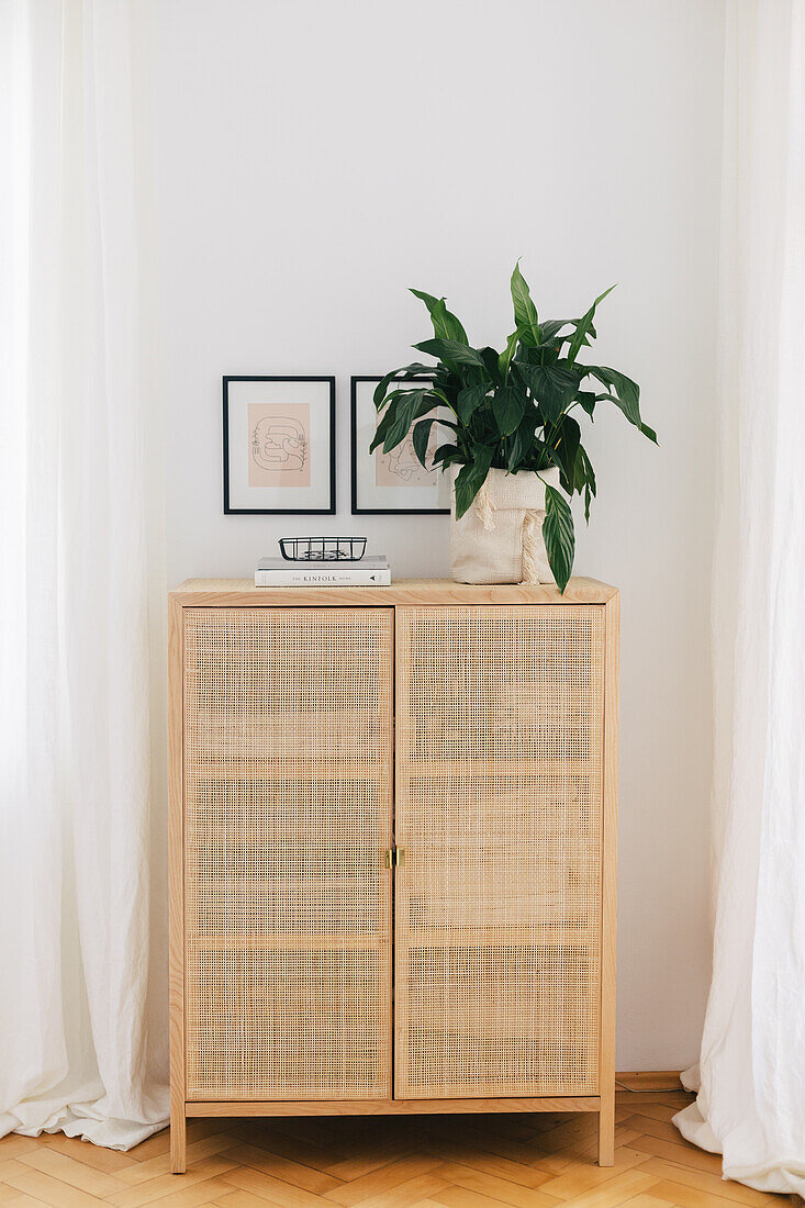 DIY-Übertopf aus schlichtem Teppich mit Pflanze auf Schrank