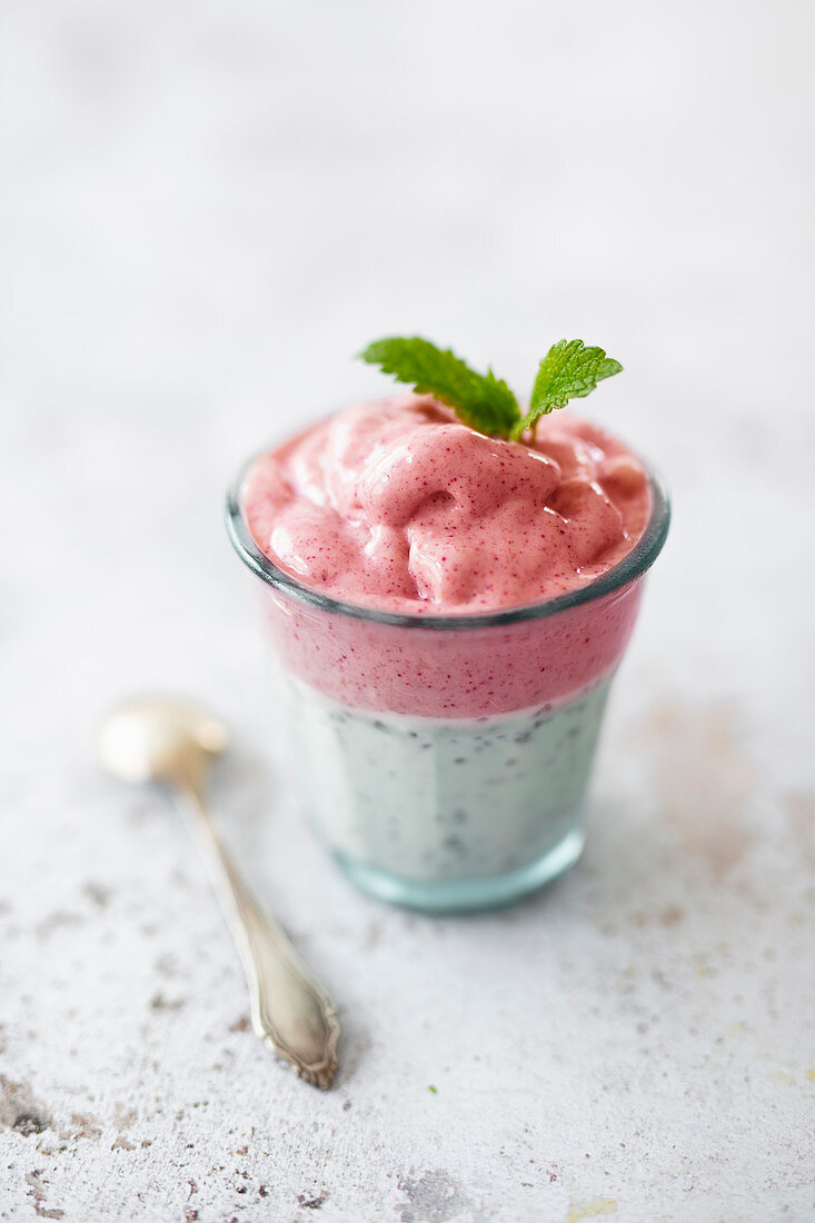 Coconut Chia pudding with hibiscus-banana nice cream (vegan)