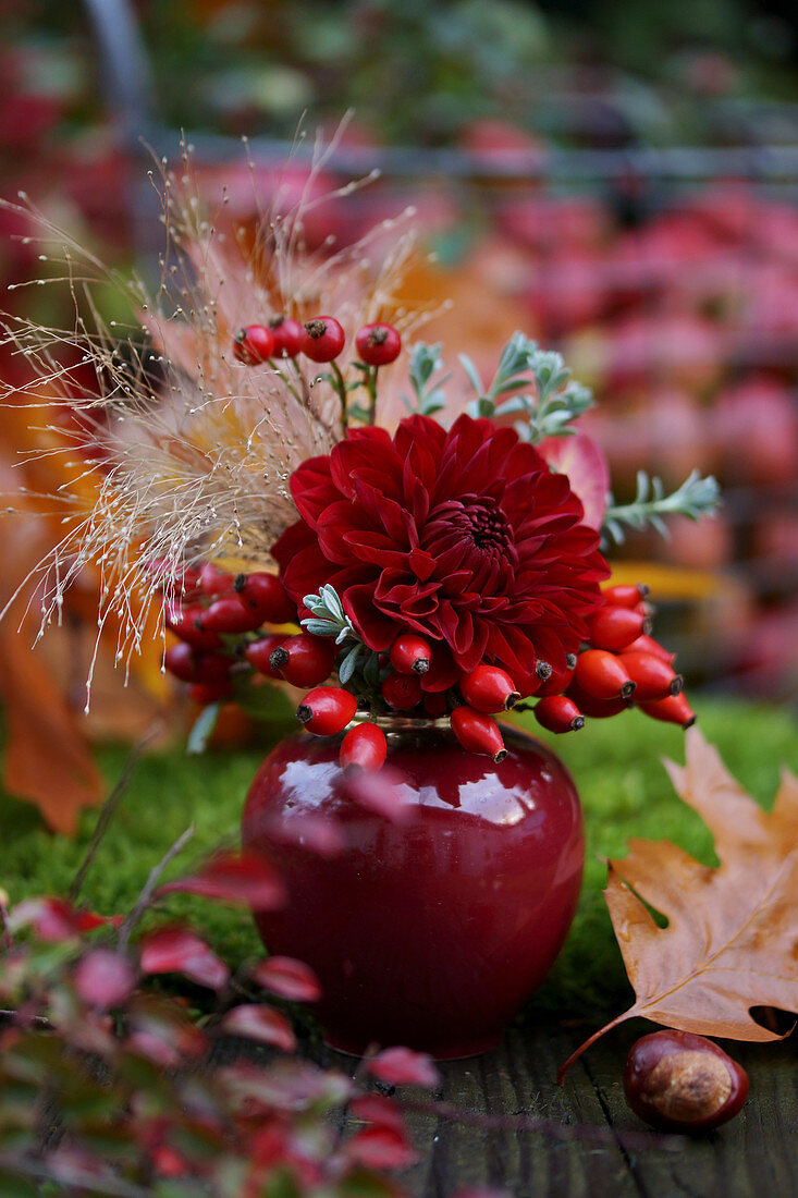 Posy of dahlias and rose hips
