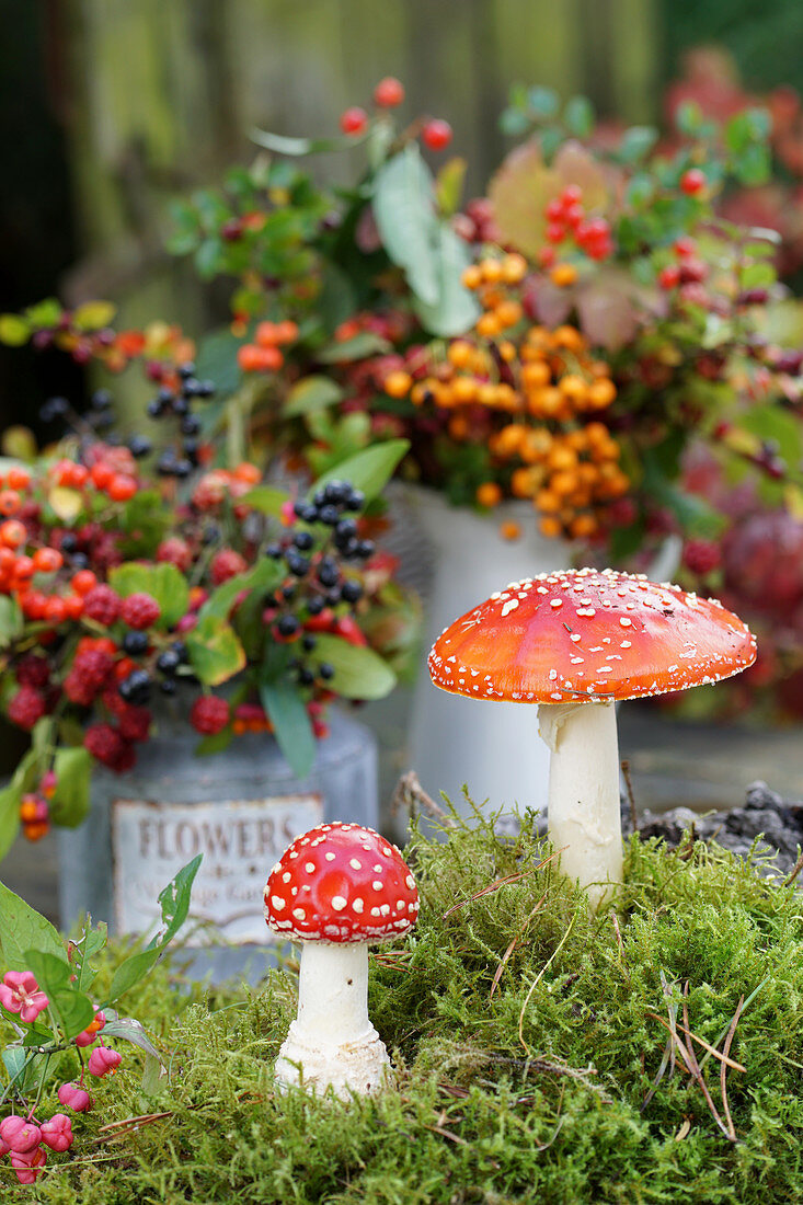 Fliegenpilze und Herbststrauß im Hintergrund