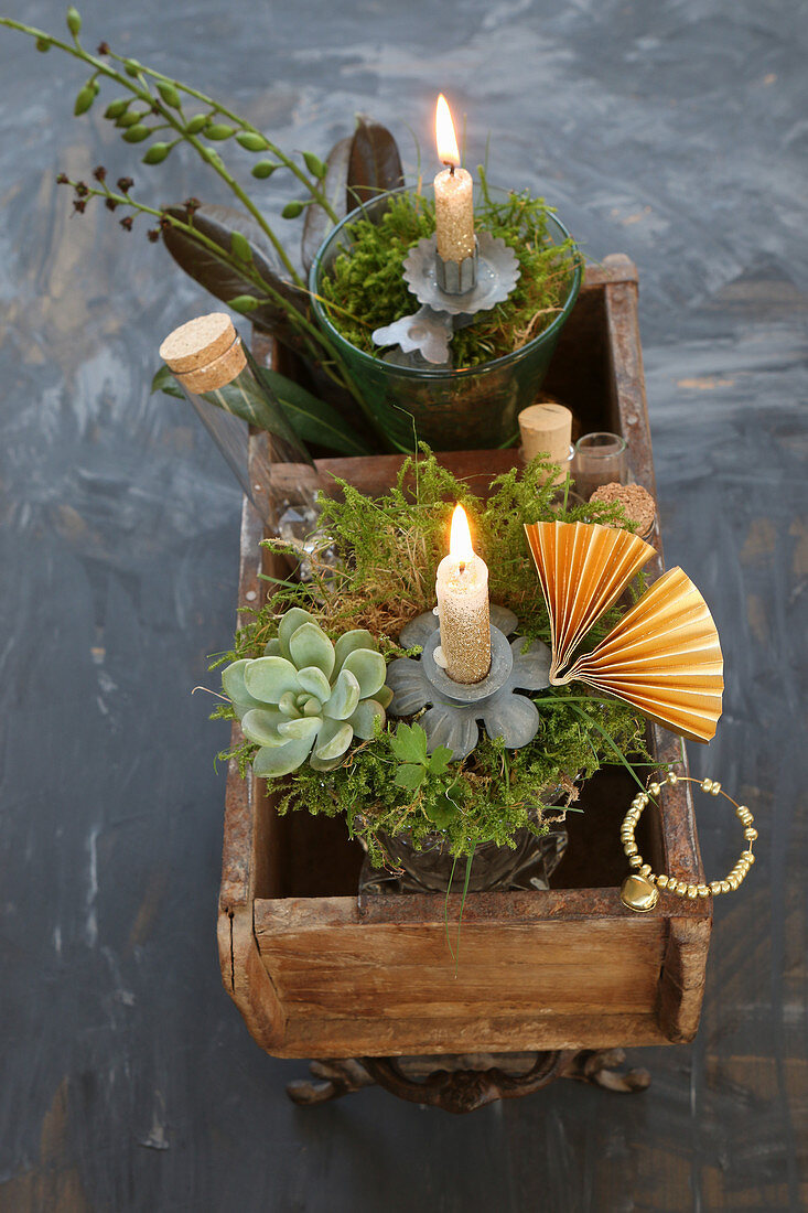 Original arrangement in an antique wooden box with succulents, moss and test tube