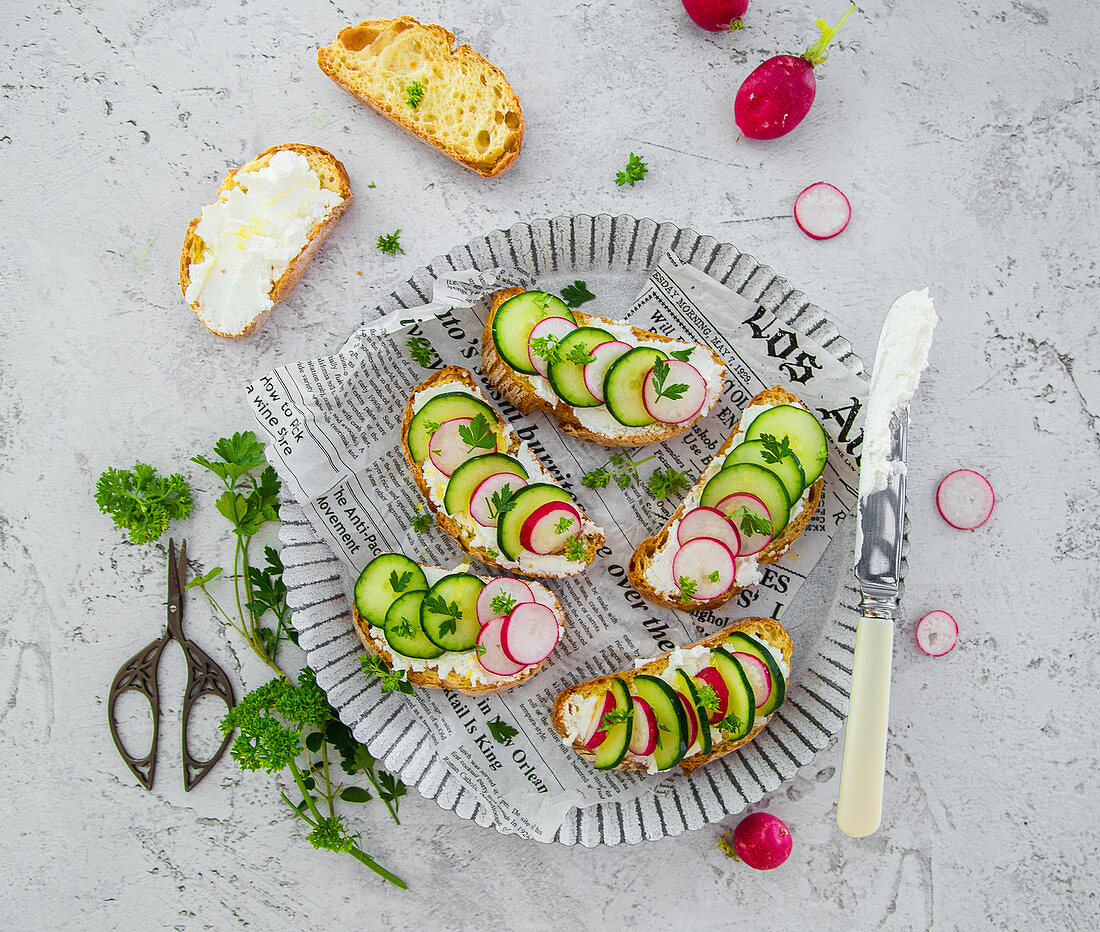 Bruschetta with cheese cucumbers and radishes