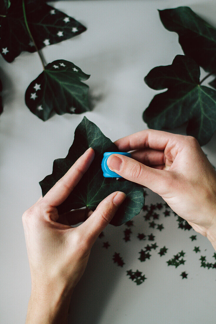 Making biodegradable confetti stars from ivy leaves