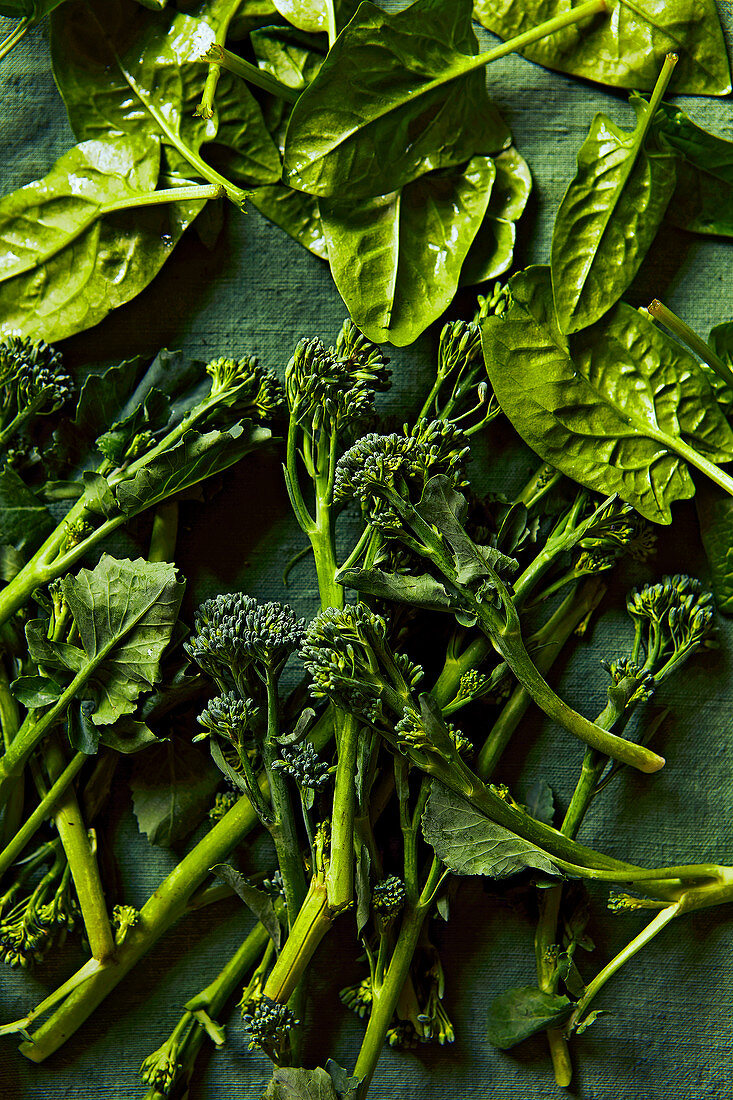 Spinat und Broccolini