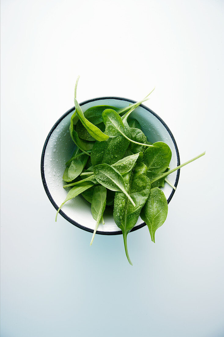 Washed Fresh spinach leaves in a bowl
