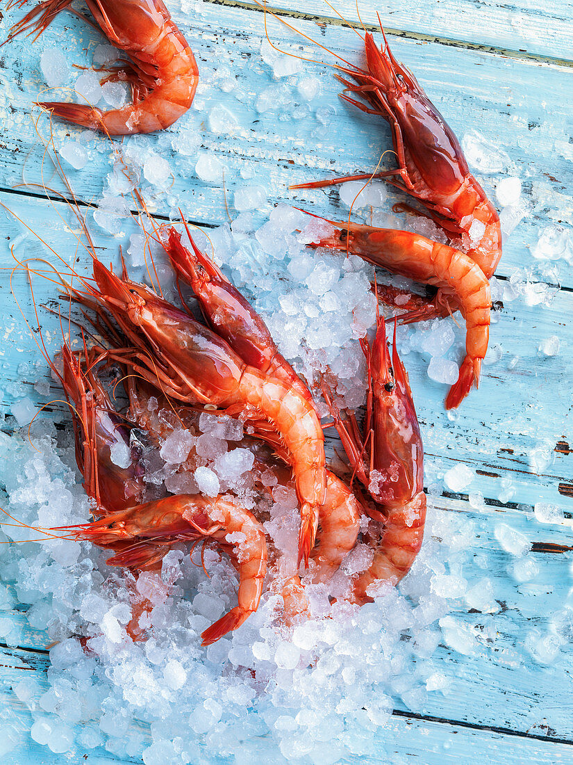 Red prawns on ice