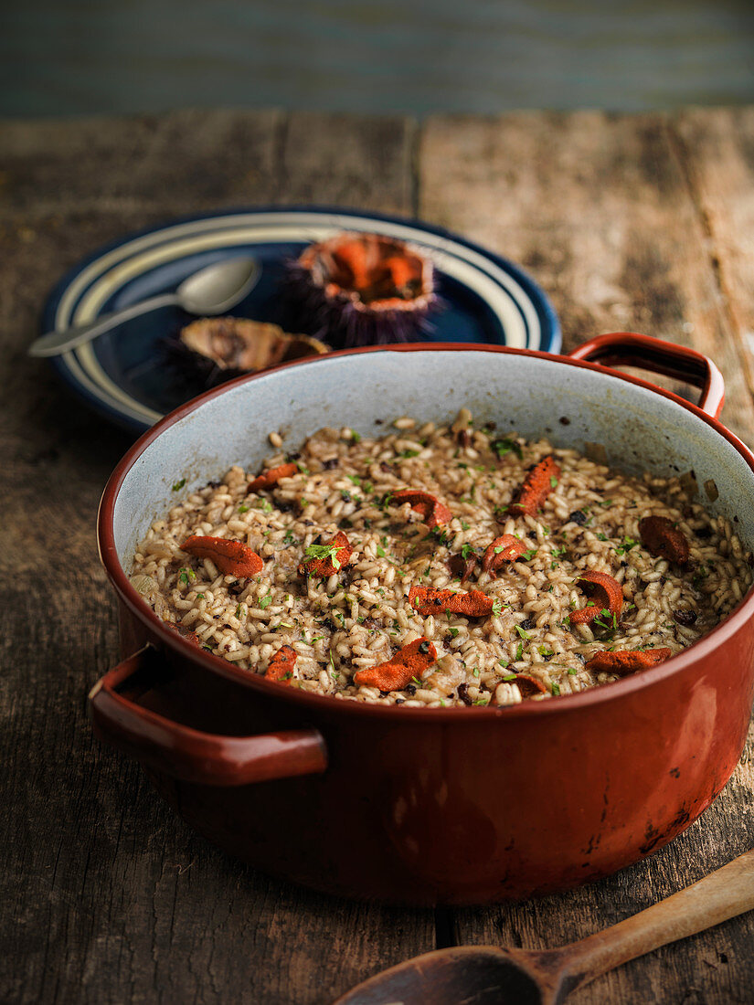 Arroz mit Seeigel und Blutwurst