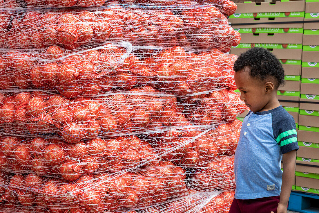 Food distribution, Michigan, USA