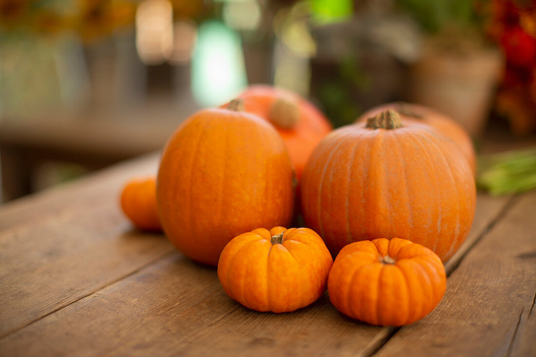 Orange pumpkin display on table