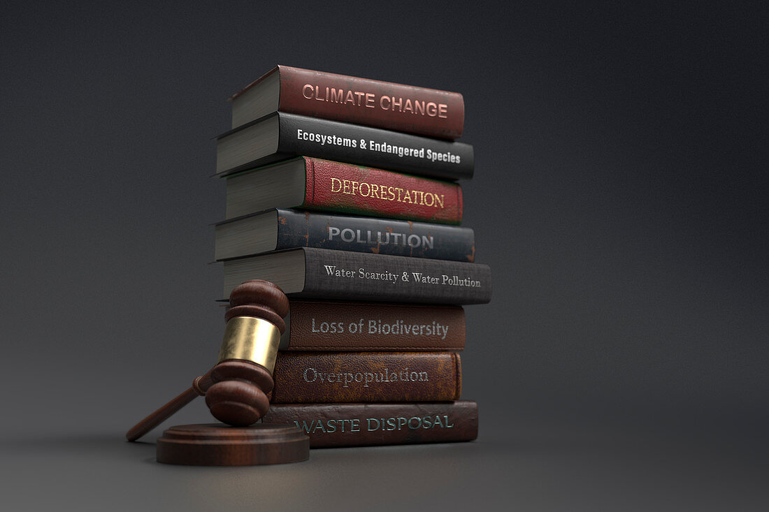 Environmental legislation textbooks next to gavel, illustration