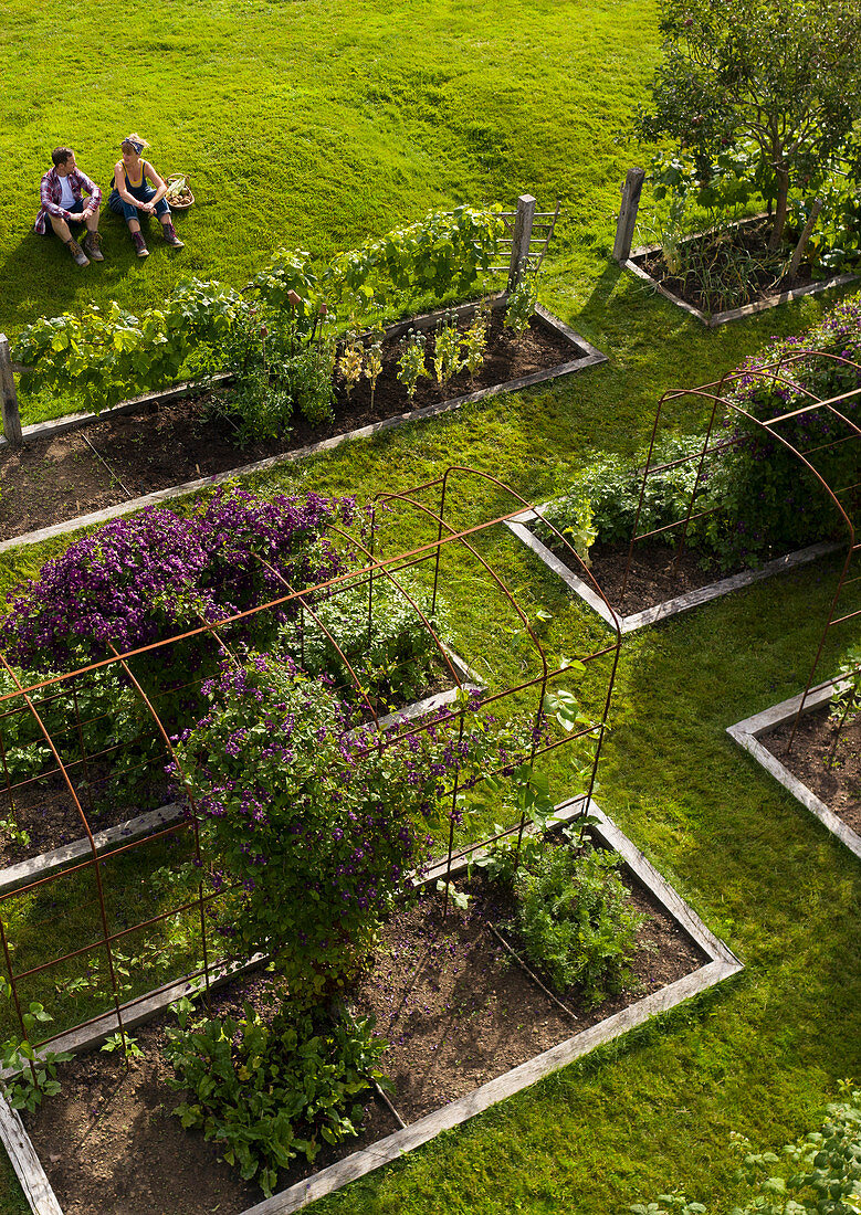 Aerial view of couple in summer garden with raised beds