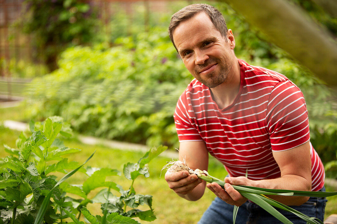 Proud man harvesting fresh green onions in garden