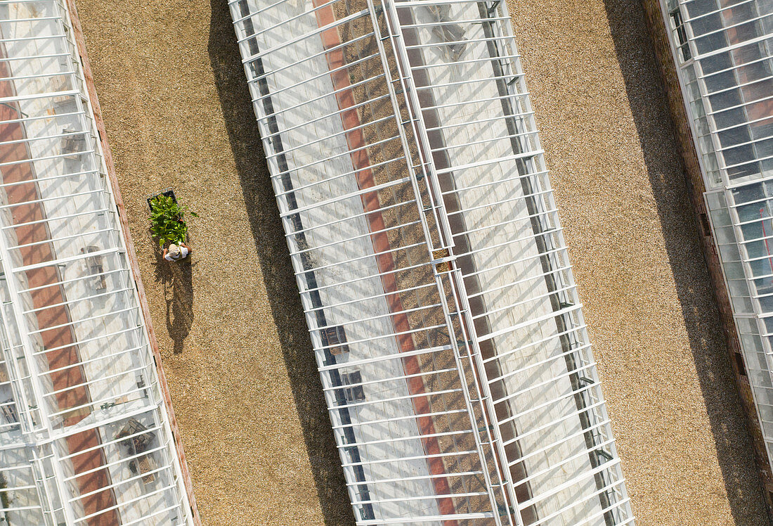 Plant nursery owner with wheelbarrow among greenhouses