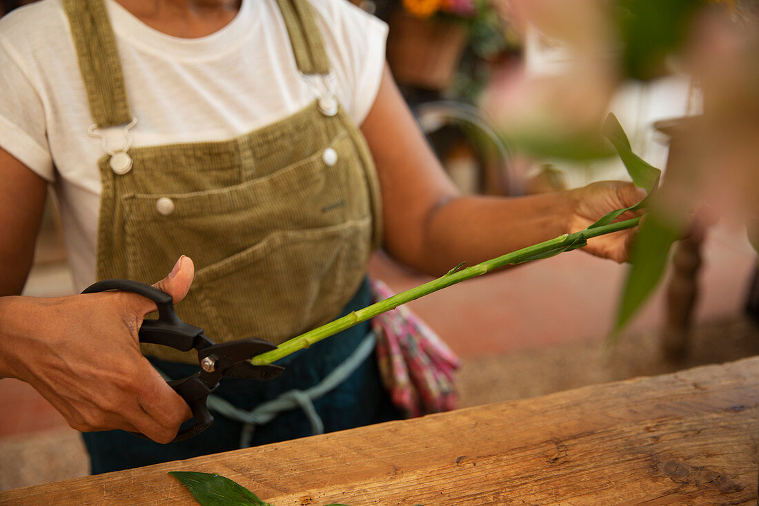 Female florist trimming flower stem with shears