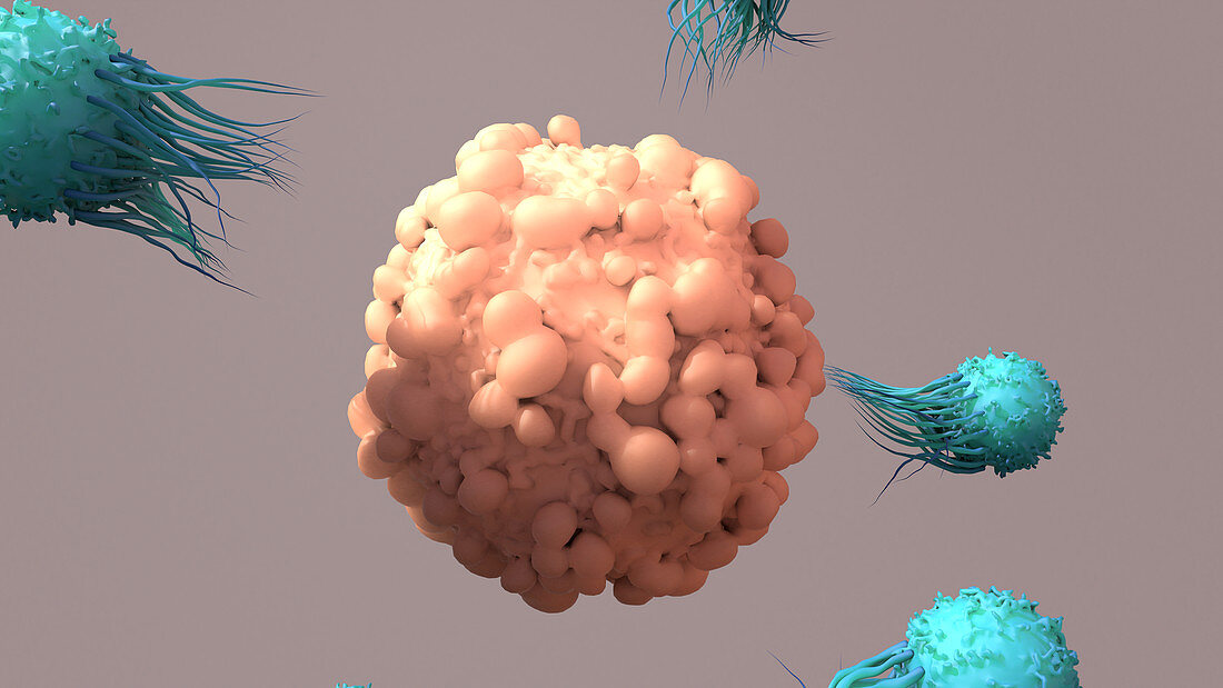 T-cells surrounding a tumour, illustration
