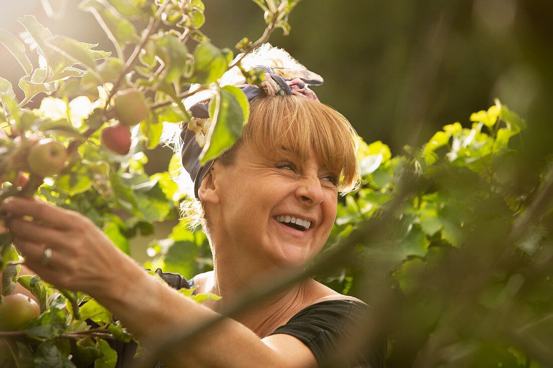 Happy woman laughing in sunny summer vegetable garden