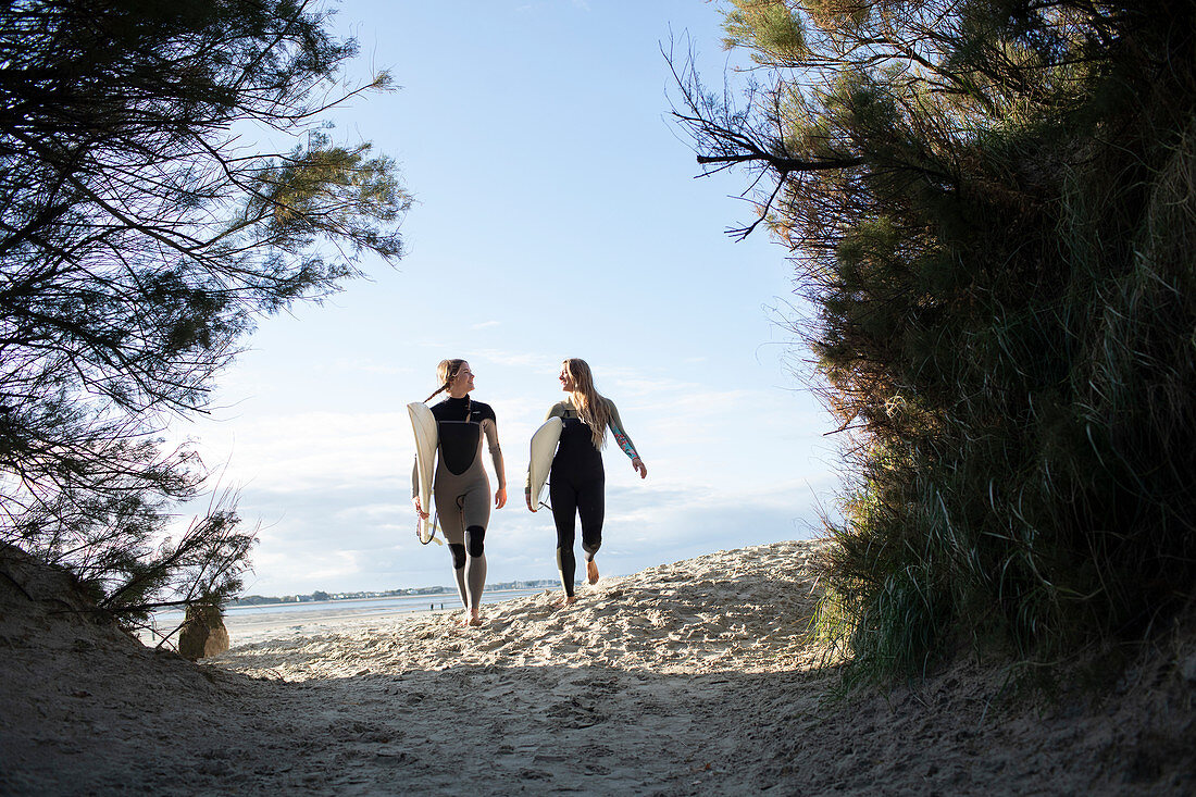 Female surfers walking with surfboards on sunny beach path