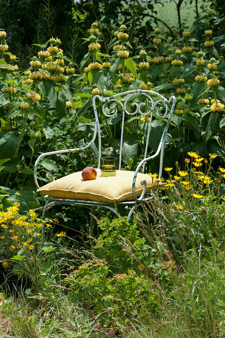 Chair in the bed between fireweed, dwarf alant and dyer's chamomile