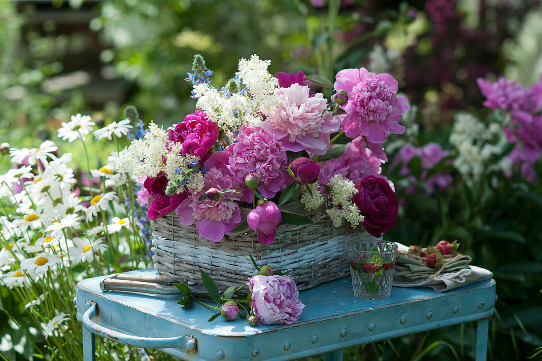 Early summer arrangement of peonies, elderflowers and bugloss in a basket