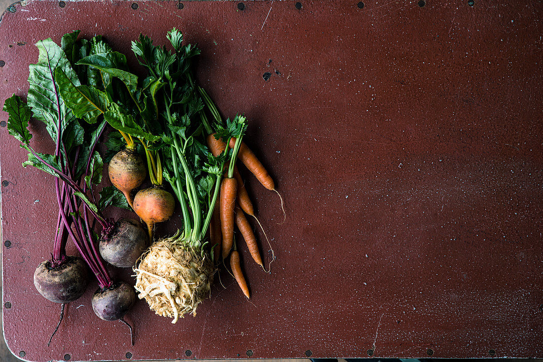 Root vegetables – carrots, celeriac, beetroot and yellow beets
