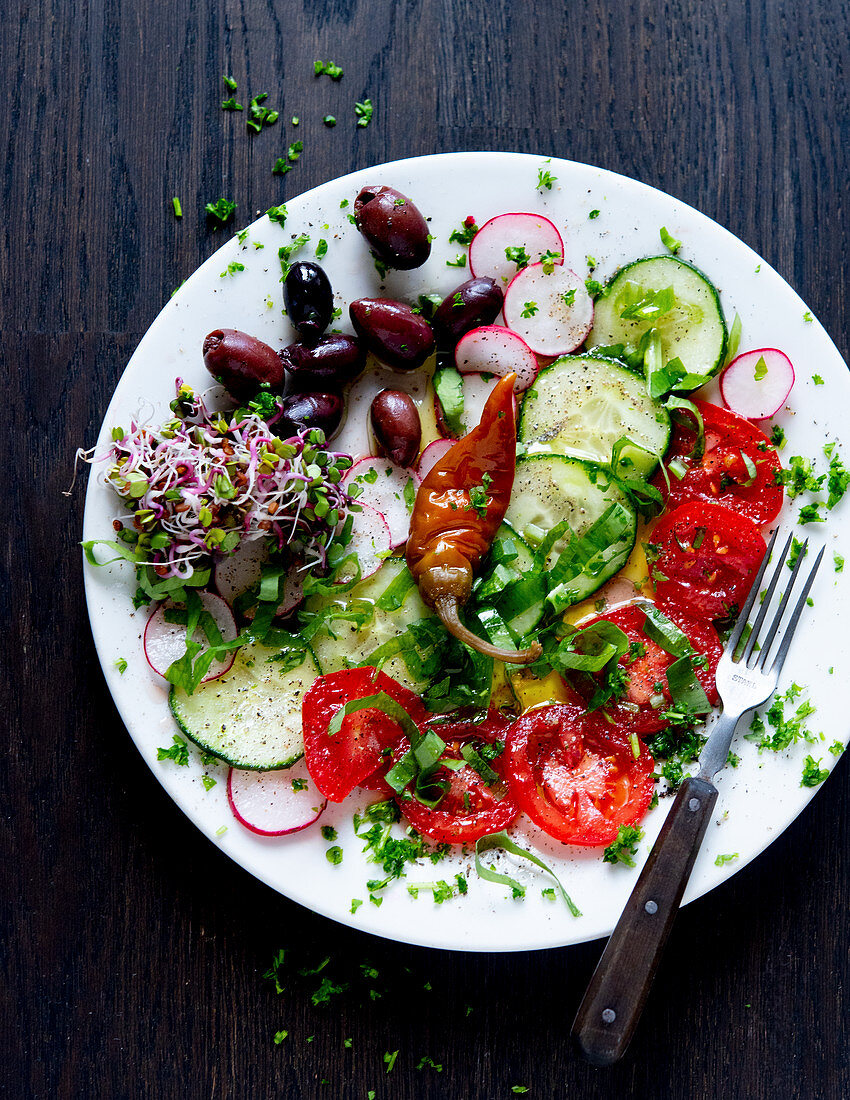 Salad plate with radishes, olives, sprouts, cucumber and tomatoes