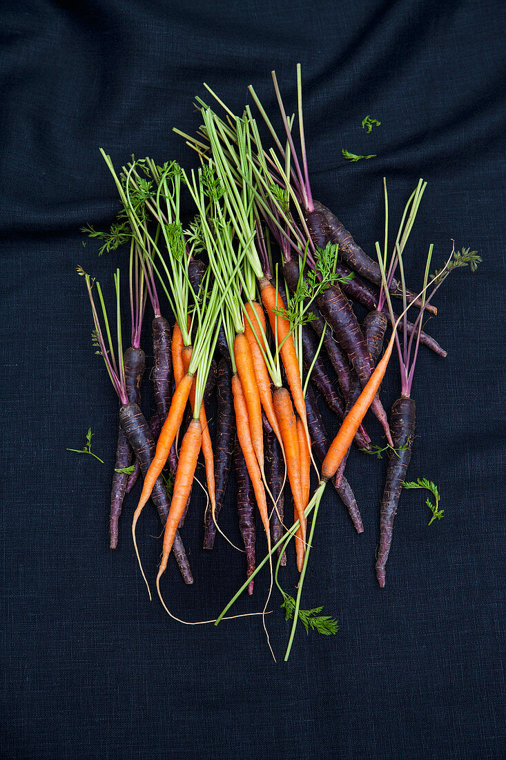 Yellow and purple carrots