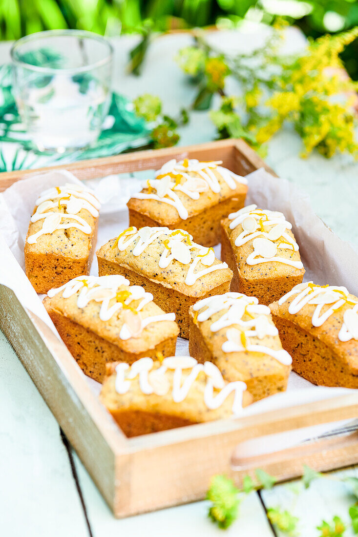 Mini cakes with oranges, almonds and poppy seeds