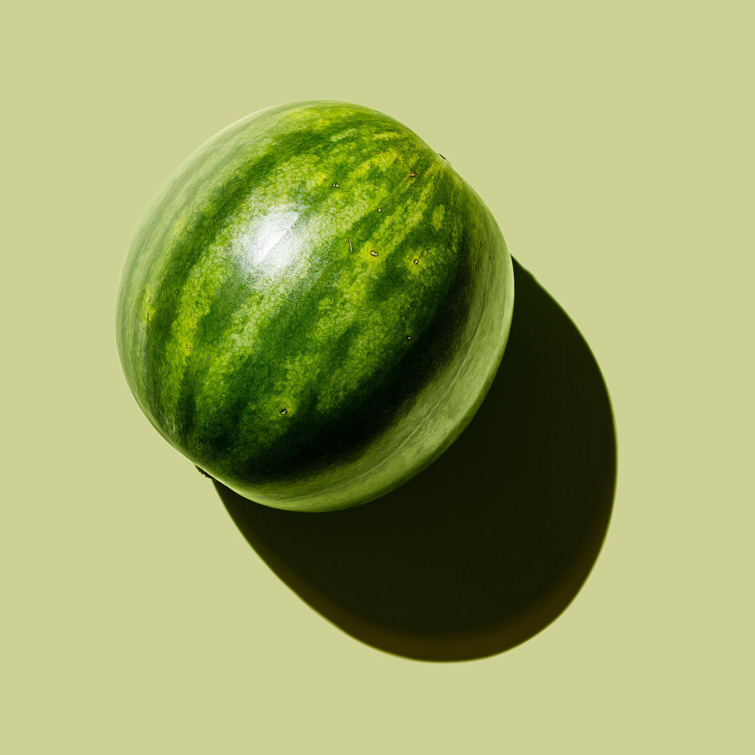 Ganze Wassermelone auf grünem Untergrund