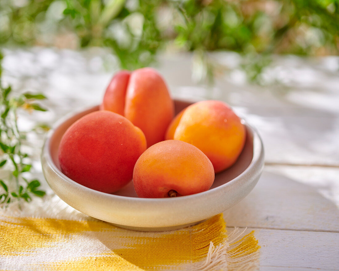 Frische Aprikosen im Schälchen