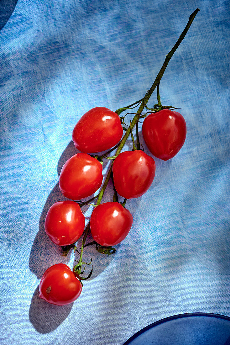 Tomatoes on the vine