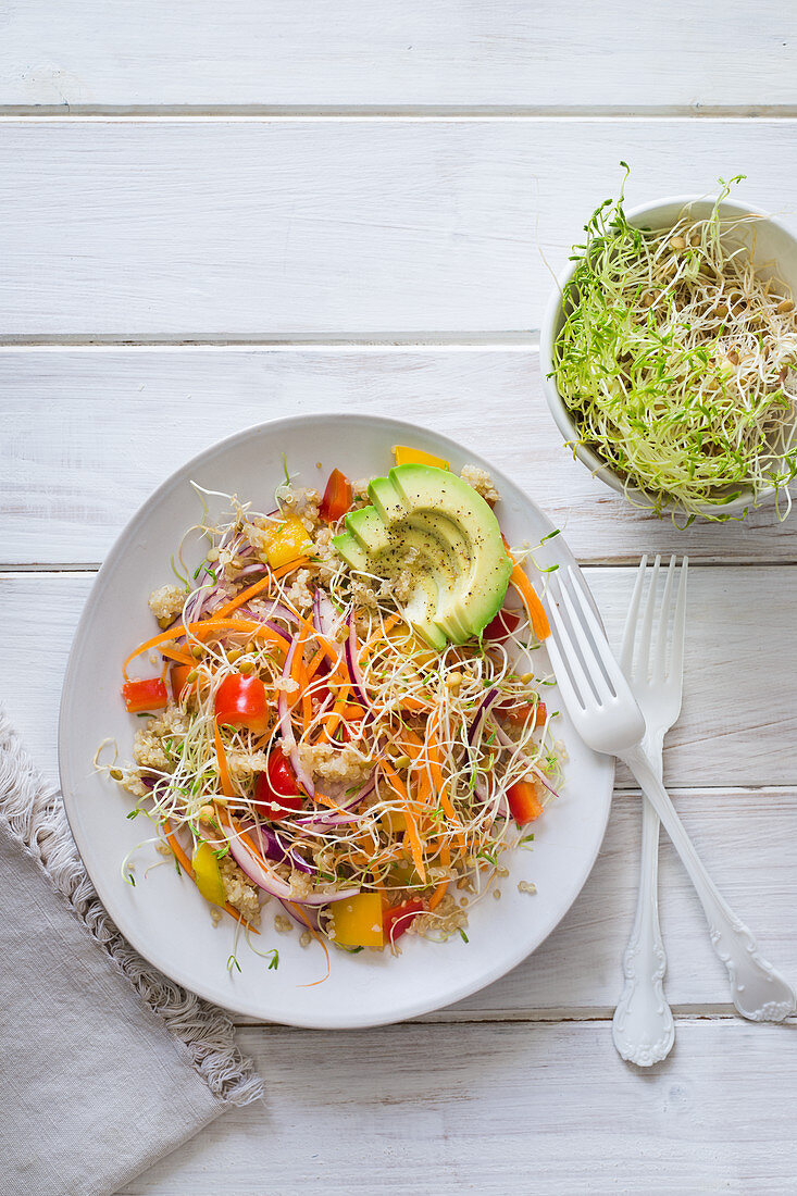 Lentil sprout rainbow salad