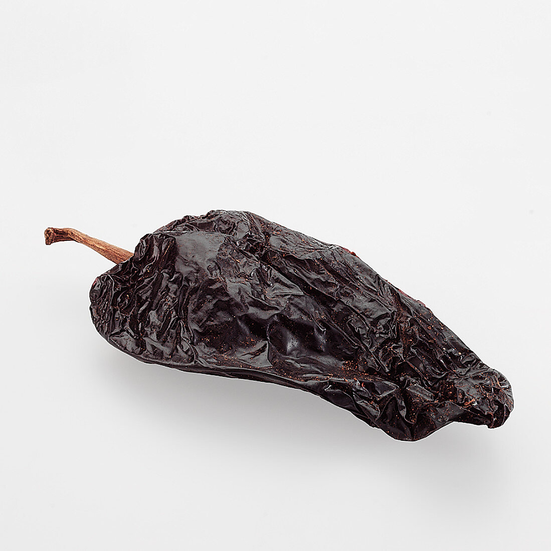 A dried Ancho Chile on white background