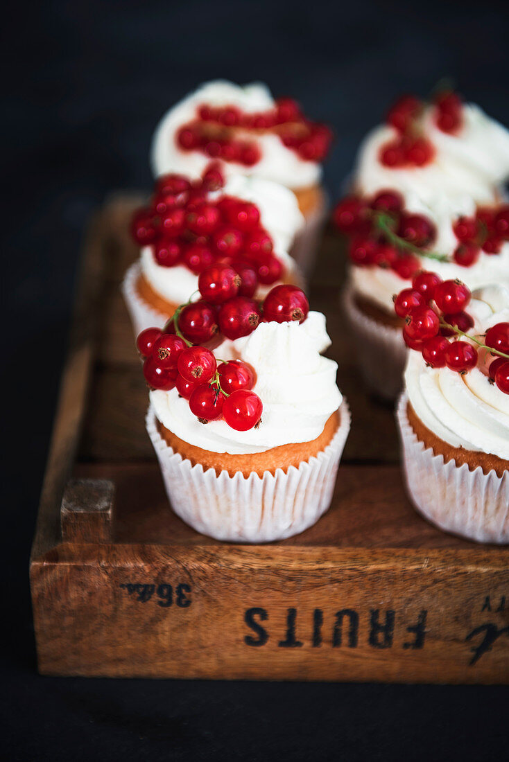 Rote Johannisbeer-Cupcakes