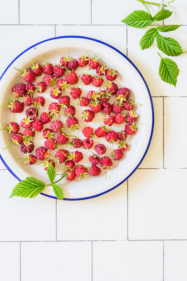 Fresh Raspberries in a Plate on the Tile Background