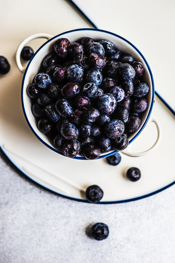 Raw organic blueberry in white bowl on minimalistic concrete background