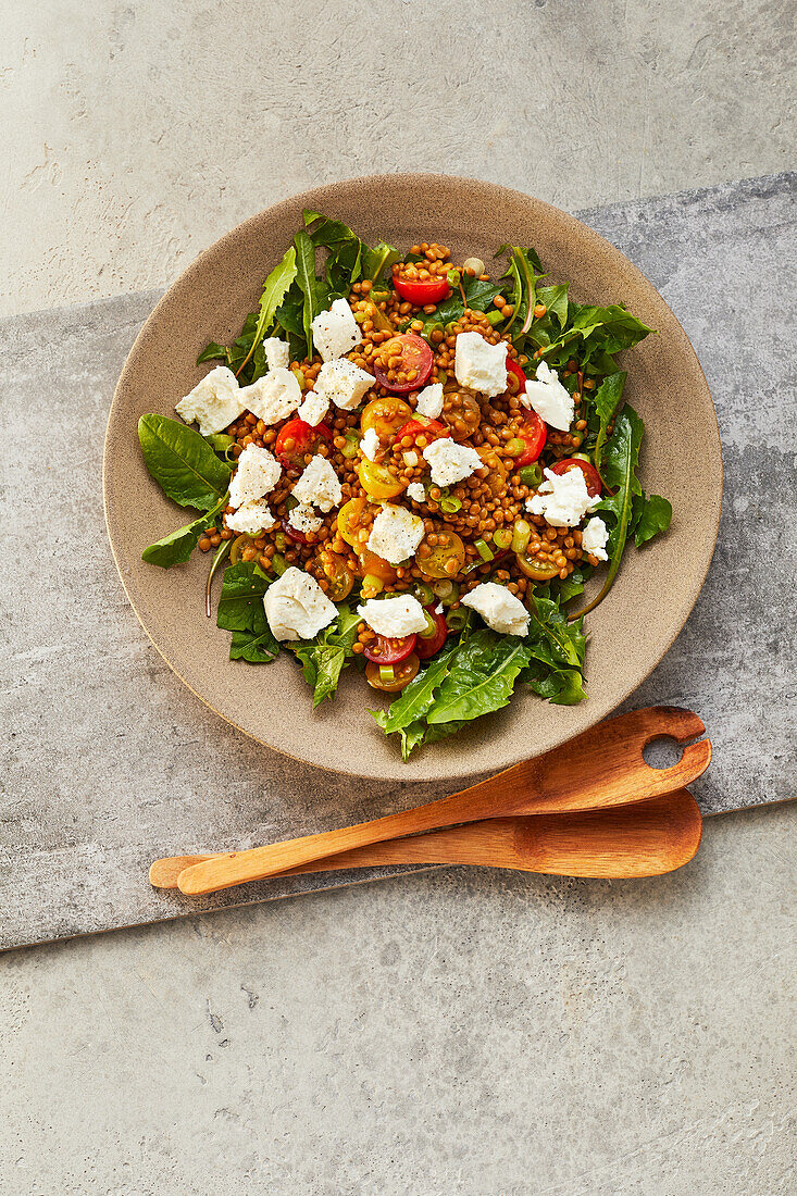 Lentil salad with dandelion and goat cheese