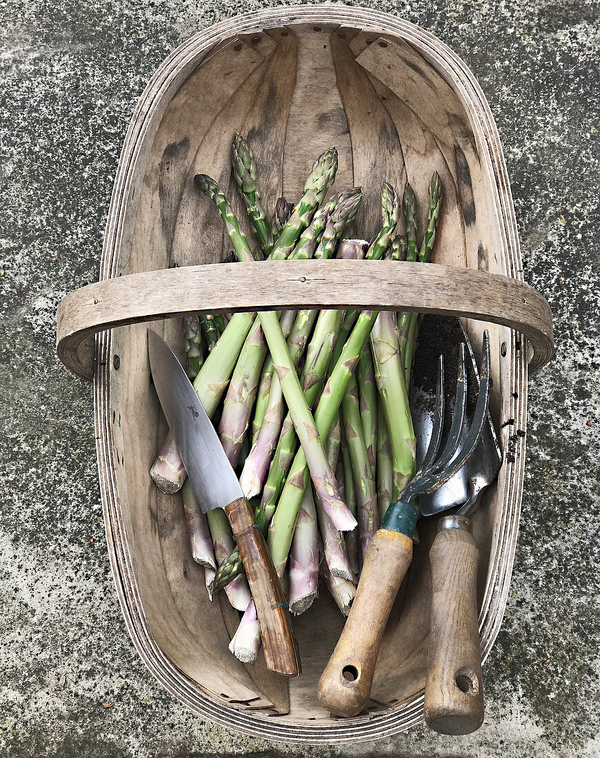 Green asparagus in a wooden basket