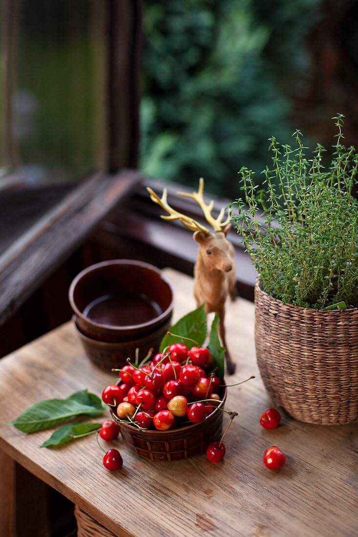 Fresh cherries in a bowl