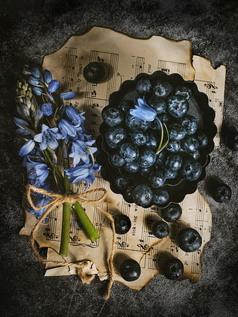 Hyacinths and blueberries in baking cups on vintage sheet music