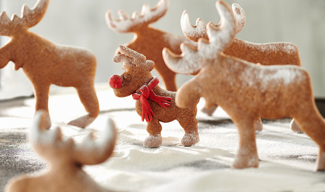 Rudi Rednose - Reindeer biscuits in icing sugar snow