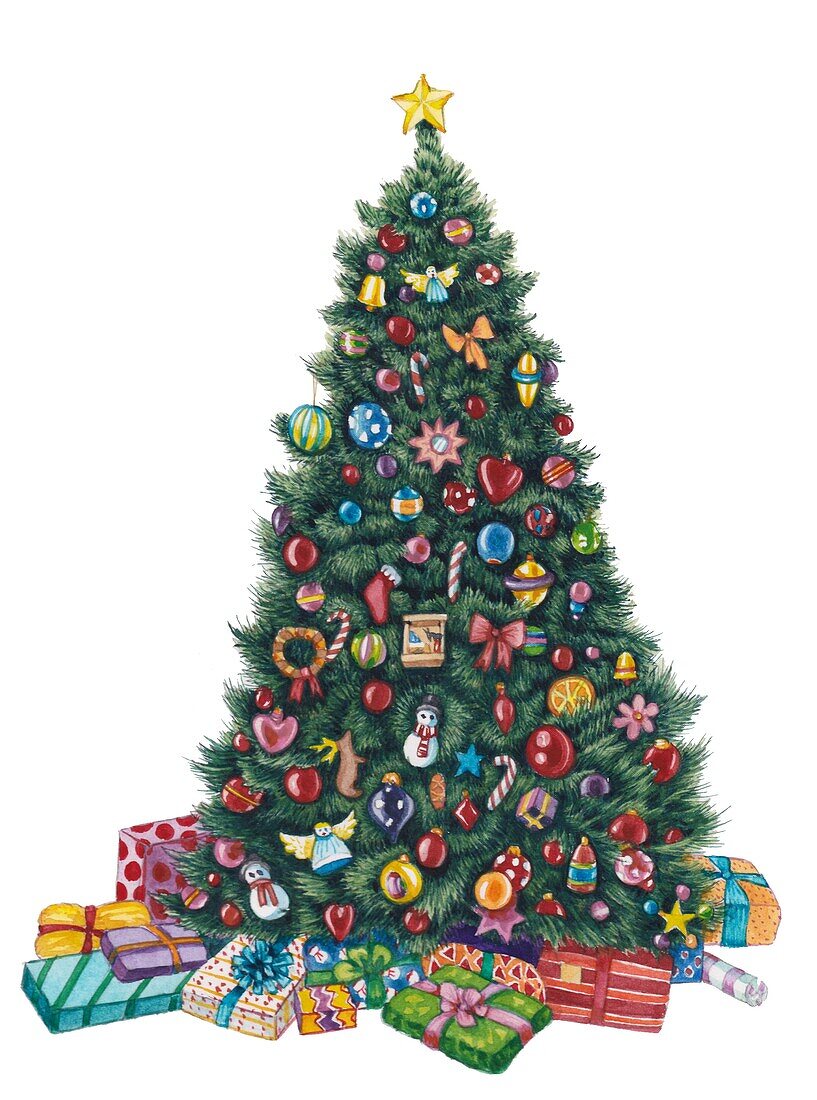 Christmas tree, illustration