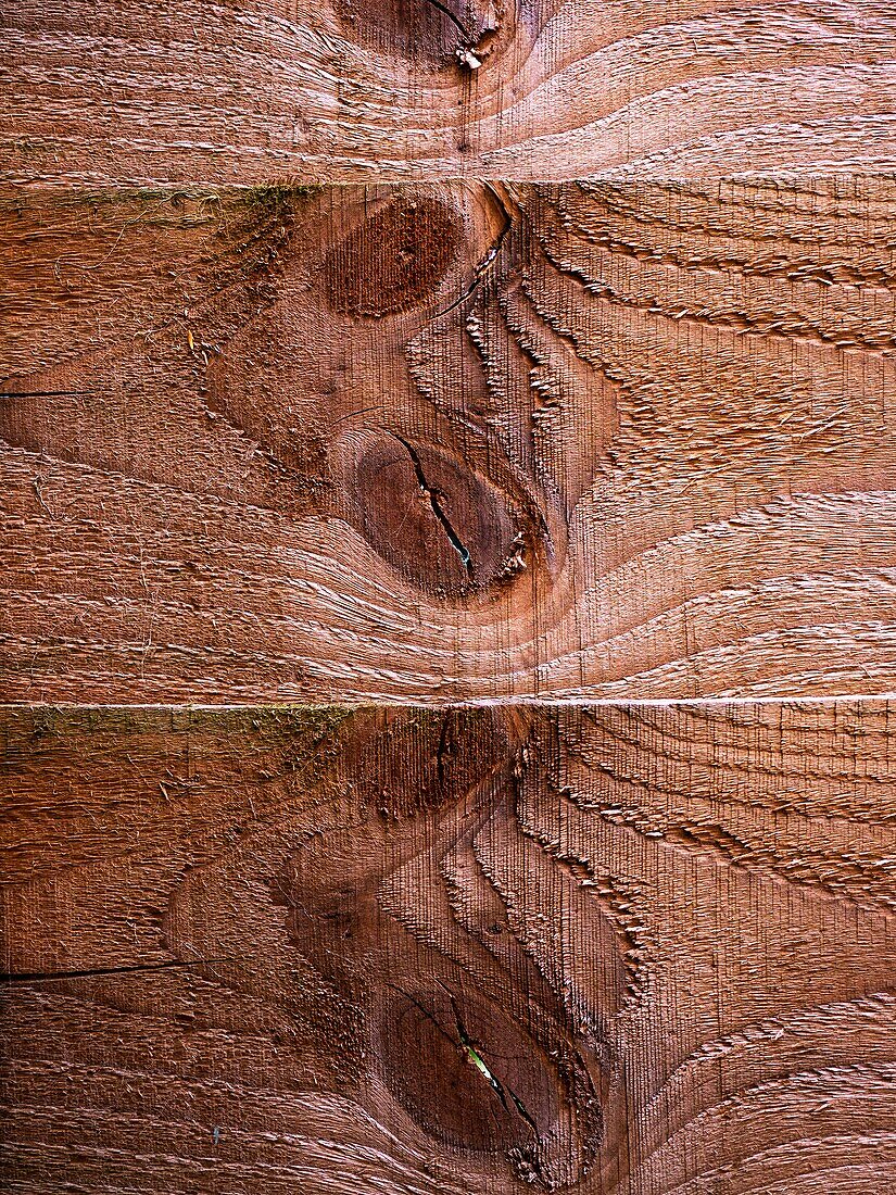 Wood knots on timber fencing panels