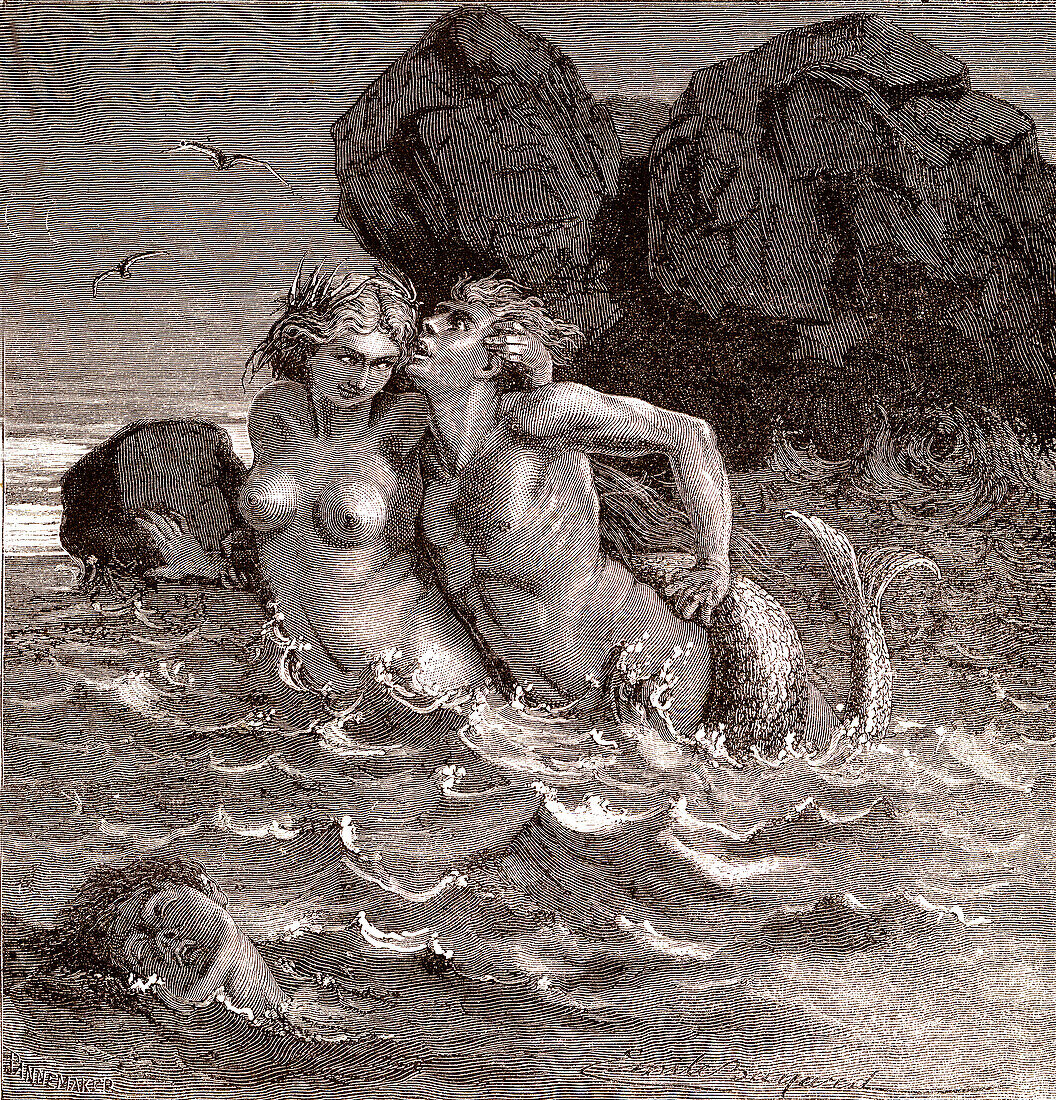 The Mermaid, 19th century illustration
